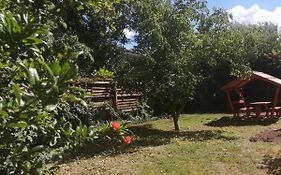 Rakos-Patak Family House
